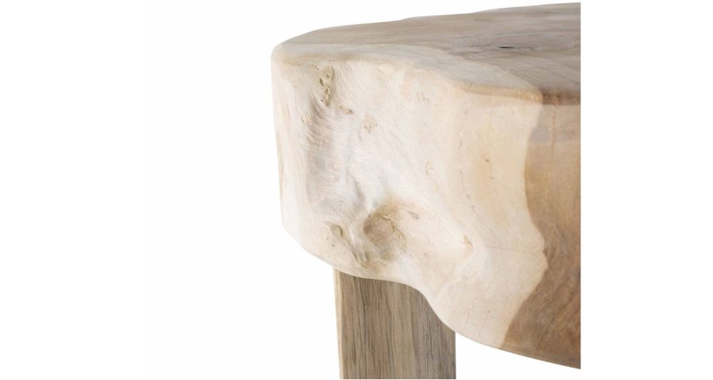 Table basse rondin de bois en teck Root