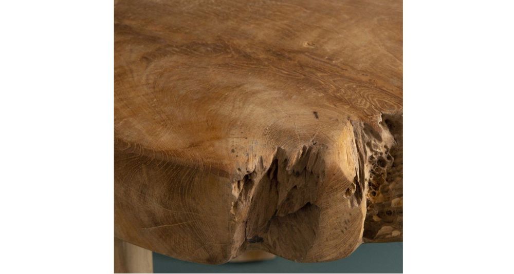 Table basse rondin de bois en teck Root