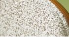 Lot 4 chaises vintage années 80 Mannix - Beige - 5