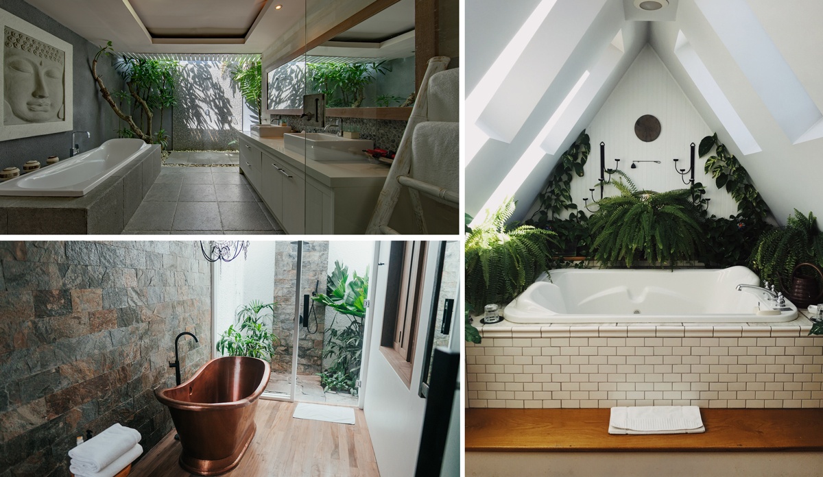 Salle de bain velux ou puits de lumière plantes dans la cabine de douche