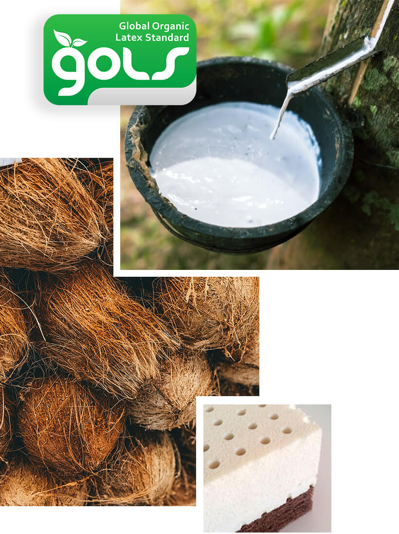 Mousse de canapé naturelle et biologique en coco et en latex certifié GOLS