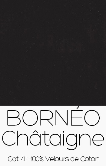 Borneo Chataigne