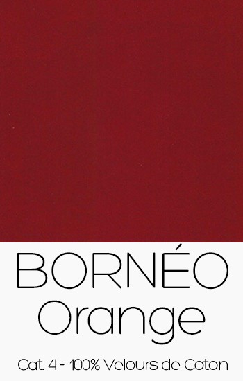Borneo Orange