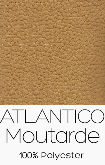 Atlantico Mostaza - Moutarde