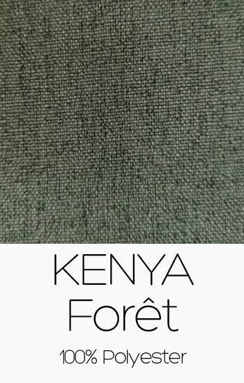 Kenya Forêt