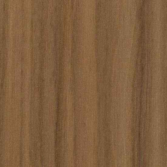 Noyer canaletto (N40)