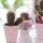 Des cactus dans la déco : intemporels et design